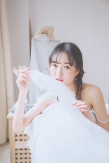 哥斯拉2